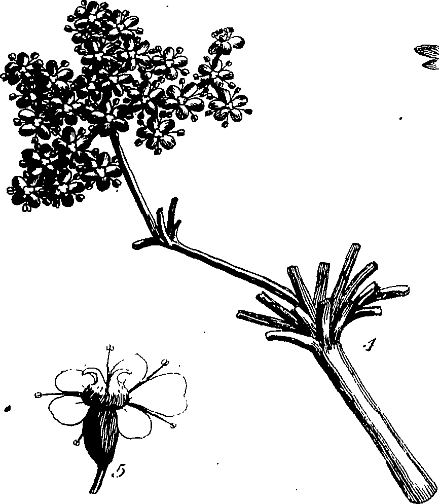085/085350050000150_0.png