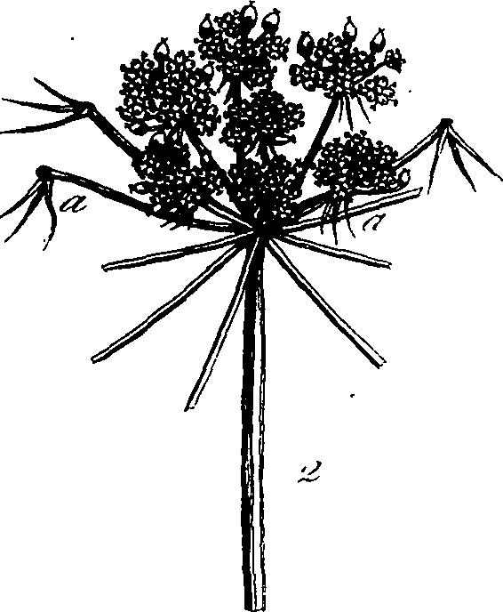 085/085350050000150_1.png
