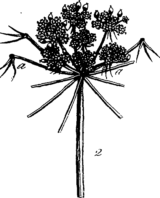 085/085350050000170_1.png