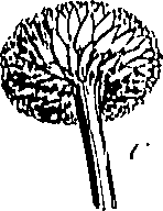 085/085350050000190_0.png