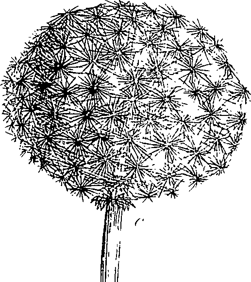 085/085350050000190_1.png