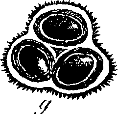 085/085350050000220_0.png