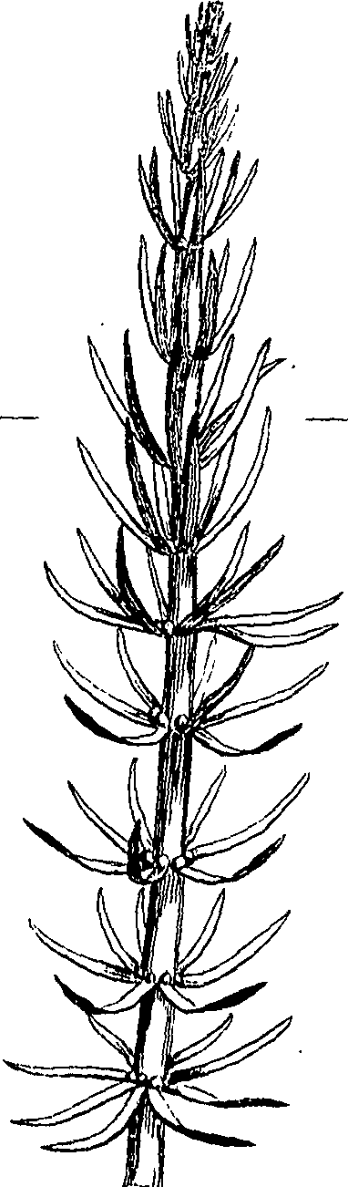 085/085350050000220_1.png