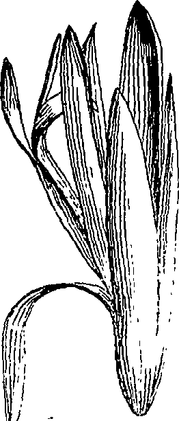 085/085350050000220_2.png