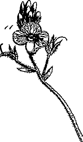 085/085350050000240_1.png