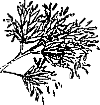 085/085350050000270_0.png