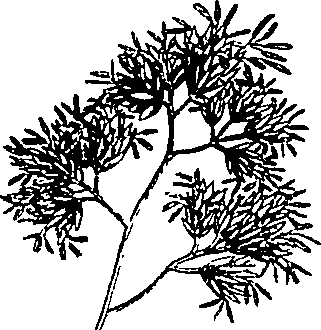 085/085350050000270_1.png
