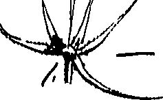 085/085350050000340_0.png