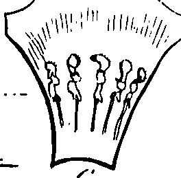 085/085350050000340_1.png