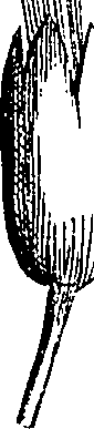 085/085350050000340_3.png