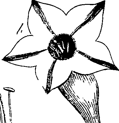 085/085350050000340_4.png