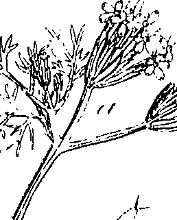 085/085350050000370_0.png