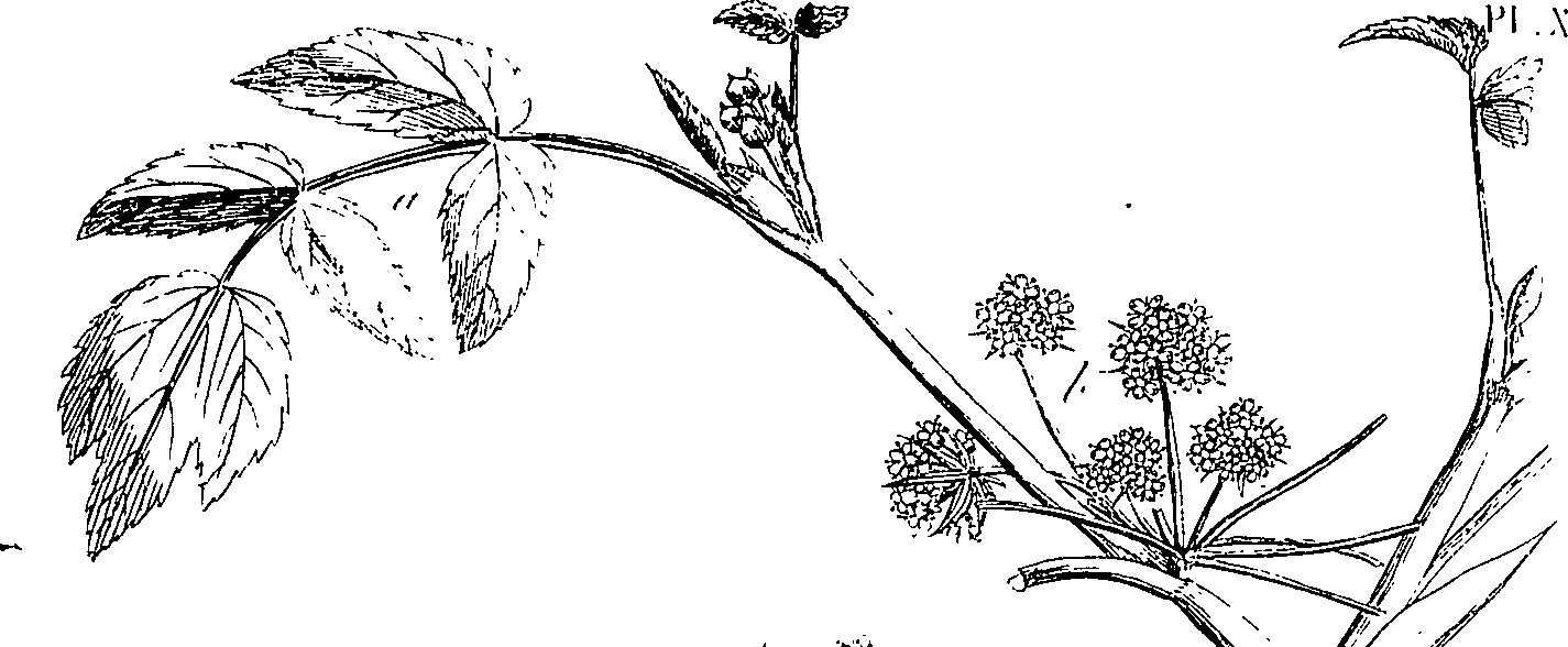 085/085350050000370_1.png