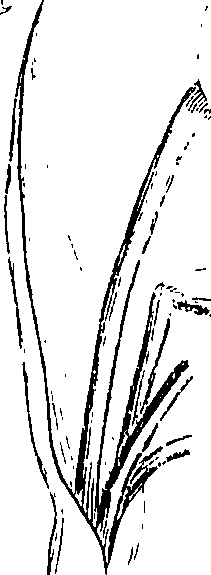 085/085350050000400_0.png