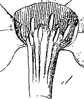 085/085350050000400_1.png