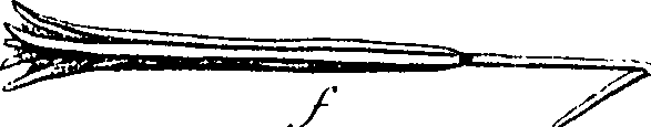 085/085350050000420_0.png