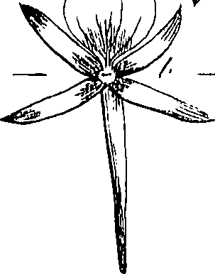 085/085350050000420_1.png
