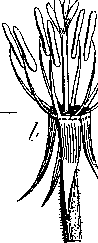 085/085350050000420_2.png