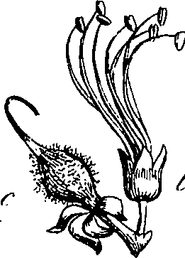 085/085350050000420_3.png
