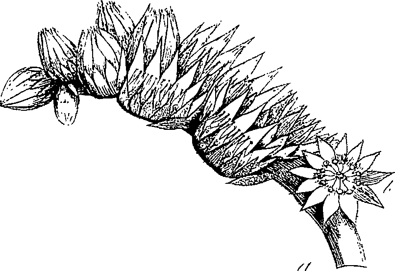 085/085350050000470_0.png