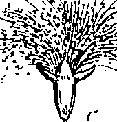 085/085350050000490_1.png