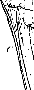 085/085350050000530_0.png