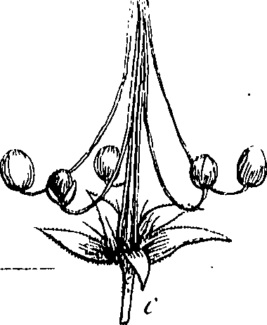 085/085350050000570_0.png