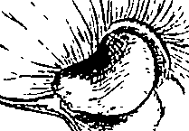 085/085350050000600_0.png