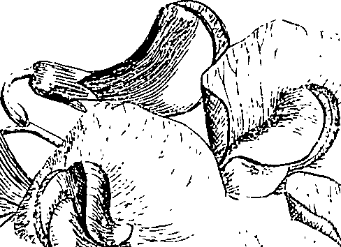 085/085350050000600_1.png