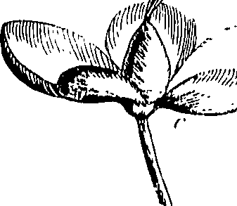085/085350050000620_0.png