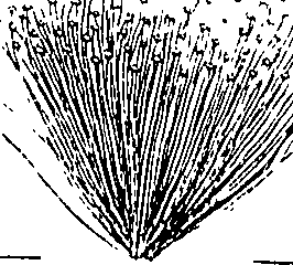085/085350050000620_1.png