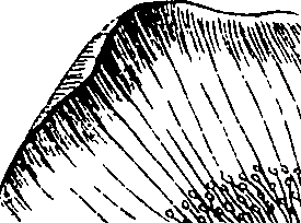 085/085350050000620_2.png