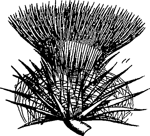085/085350050000640_0.png