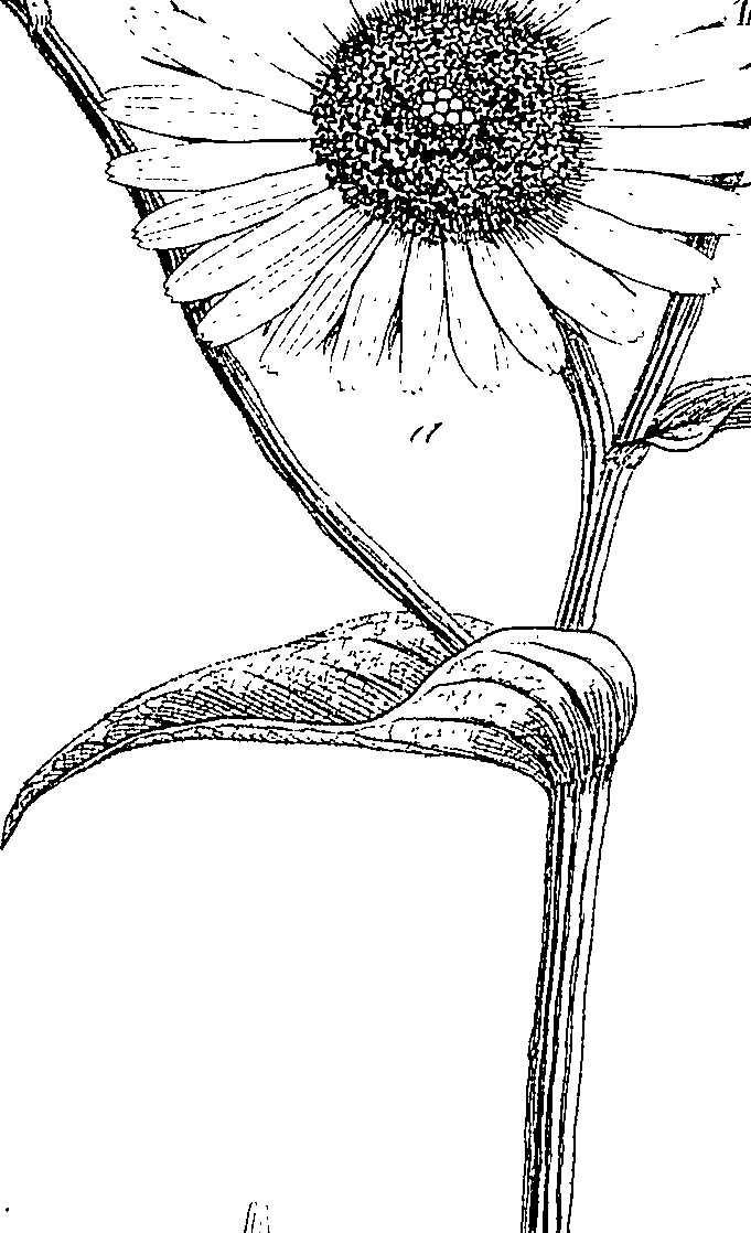 085/085350050000670_0.png