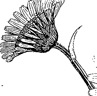 085/085350050000670_1.png