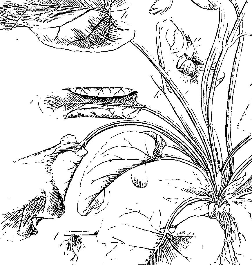 085/085350050000740_0.png