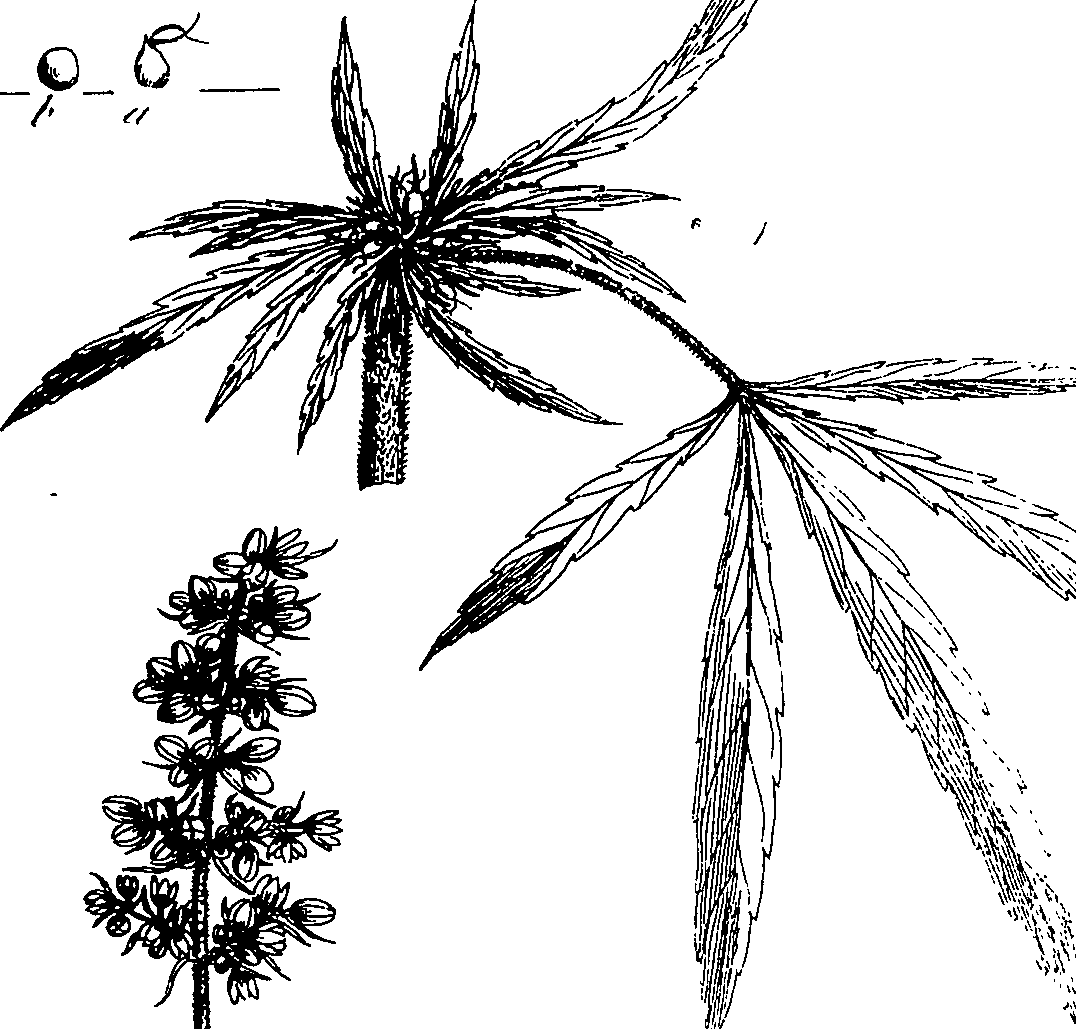 085/085350050000800_0.png