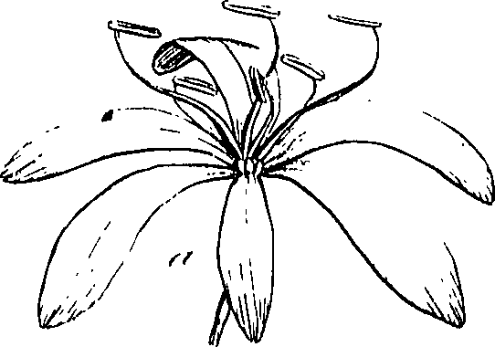 085/085350050000840_1.png