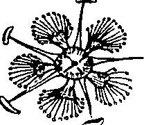 085/085350050000840_2.png