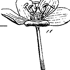 085/085350050000840_3.png
