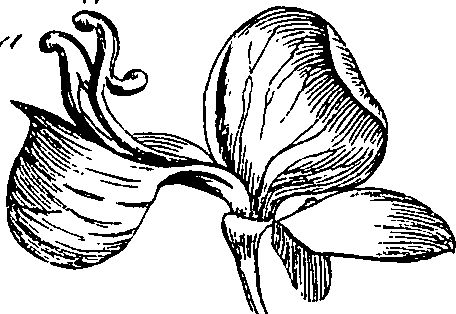 085/085350050000840_4.png