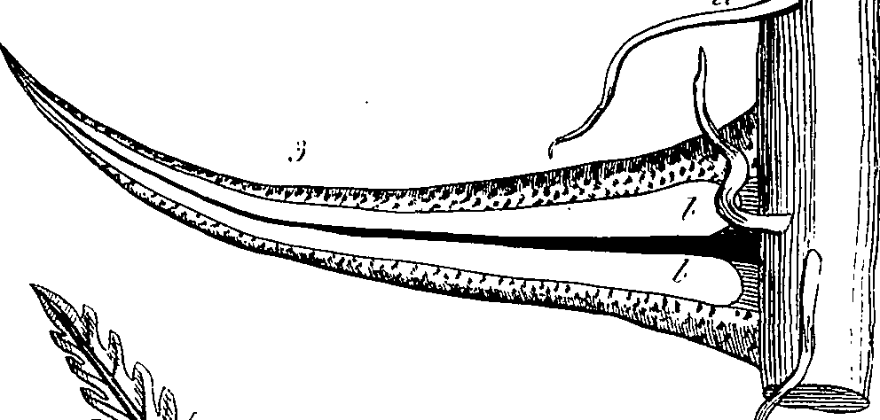 085/085350050000870_0.png