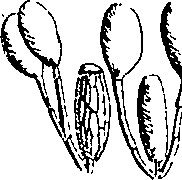085/085350050000900_0.png