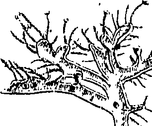 085/085350050000910_0.png