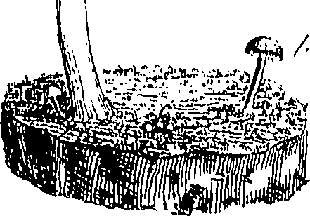 085/085350050000940_0.png