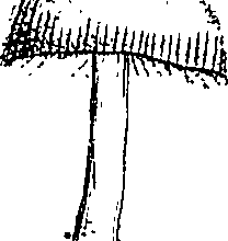 085/085350050000940_1.png