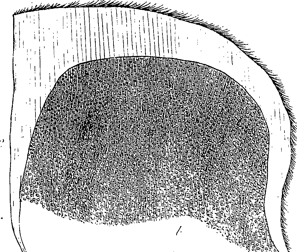 085/085350050000940_2.png
