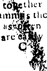 085/085380060000510_0.png