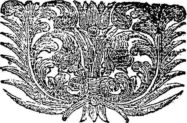 085/085450050005510_0.png