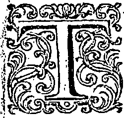 085/085460020100020_1.png